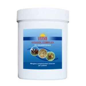 NO033B80 IN GAMBISSIMA