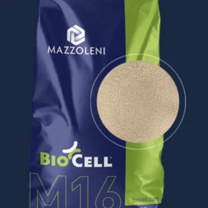 BioCell M16