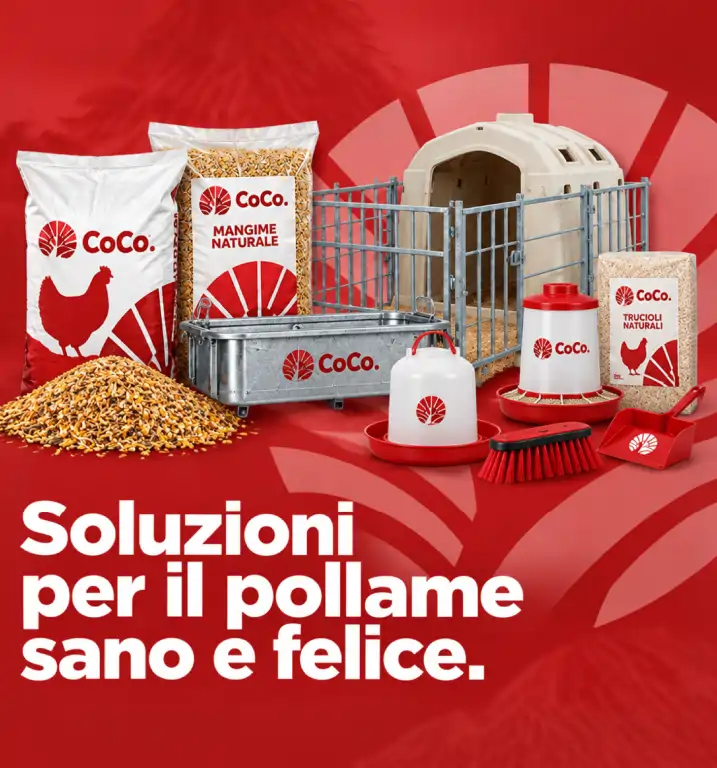 Tutto per gli hobbisti